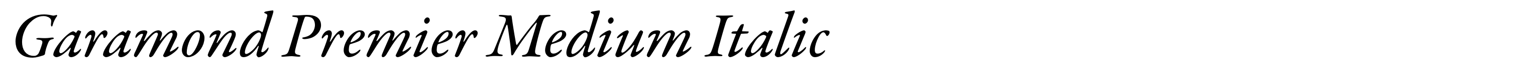 Garamond Premier Medium Italic